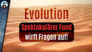 Etwas stimmt nicht mit unserer Evolutionstheorie [upl. by Norret]