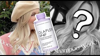 Does Olaplex Purple Shampoo Work  tips amp tricks for blondes [upl. by Popele]