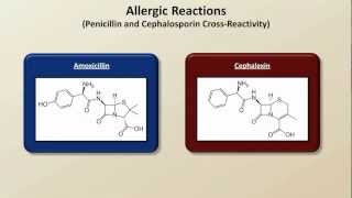 Important Side Effects and Toxicities Antibiotics  Lecture 8 [upl. by Annaiel625]