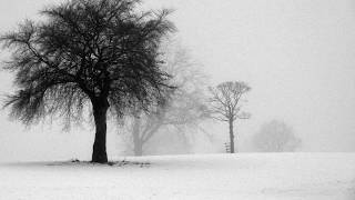 Wexford Carol  Irish Traditional Christmas Carol Clare College Cambridge Arr Rutter [upl. by Dulsea]