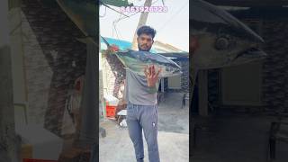 కర్నూల్ 10kg tuna fish డెలివరీ చేశానుviralreelstrendingreelsseafishseafishingramufishpacking [upl. by Yasdnil731]