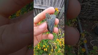 Beautiful epidote cluster thefinders gemstone [upl. by Gamali290]