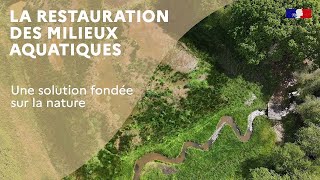 La restauration des milieux aquatiques une solution fondée sur la nature [upl. by Ahsatniuq654]