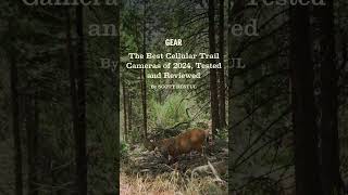 Best Cellular Trail Cameras of 2024 [upl. by Mullen]