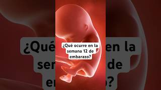 🤔 ¿Qué ocurre en la semana 12 de embarazo 🤰 Síntomas y desarrollo del bebé [upl. by Margette719]