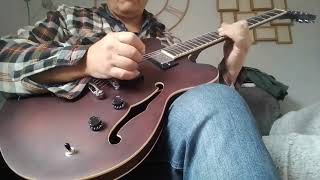 Hofner verythin demo [upl. by Dibri543]