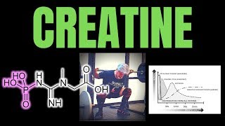 Creatine and the Athlete of Aging [upl. by Asset798]