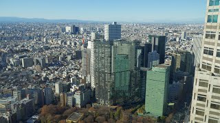 【パークタワー西新宿】西新宿五丁目中央南地区第一種市街地再開発事業の建設状況（2024年1月8日） [upl. by Hurlee]