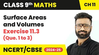 Surface Areas and Volumes  Exercise 113 Que 1 to 3  Class 9 Maths Chapter 11  CBSE 202425 [upl. by Iras]