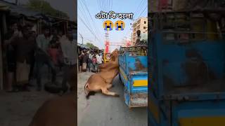 New Qurbani treading song qurbani song qurbanistatus shorts [upl. by Kylander691]