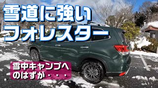 雪道に強いフォレスター♪キャンプの予定が・・・【SUBARU FORESTER】 [upl. by Kelam185]