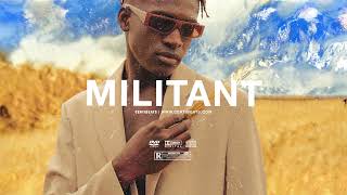 FREE Tems ft Rema amp Tiwa Savage Type Beat quotMilitantquot  Free Beat  Afrobeat Instrumental 2024 [upl. by Nwahsan523]