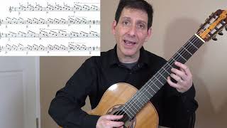 Guided Lesson Estudio Study in e minor  Francisco Tárrega Philip Hemmo classical guitar [upl. by Haropizt]