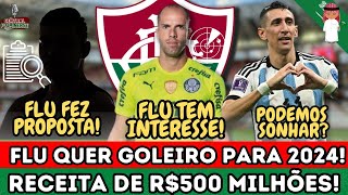 FLUMINENSE QUER CONTRATAR GOLEIRO DO PALMEIRAS DI MARIA NO FLU EXFLAMENGO DIZ QUE O FLU PROCUROU [upl. by Nehr91]