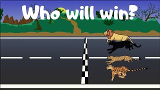 Race OF THE BIG CATS animation [upl. by Cicily]