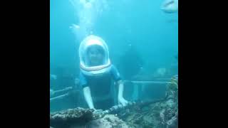 Sea walker at tanjung benoa Bali  Bali tour adventure [upl. by Olcott]