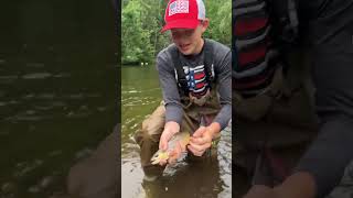 Enjoying a Day of Trout Fishing  Rainbow and Brown Trout [upl. by Roselin277]