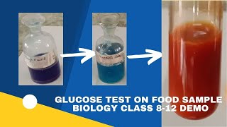 GLUCOSE TEST ON FOOD SAMPLE  BENEDICT FEHLINGS TEST  CLASS 812  BOARD PRACTICAL  BIOLOGY DEMO [upl. by Anawait]