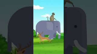 True Race  One Minute Story  Cartoons  cartoonanimal [upl. by Sig]