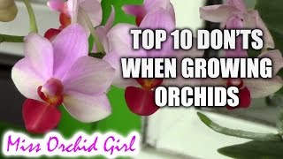 Top 10 DONTs when Growing Orchids  tips for orchid beginners [upl. by Coryden491]