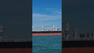 SINGAPORE PORT  SHIPSPOTTING oceanwaves ocean relaxing soundofnature 4k singapore [upl. by Longwood]