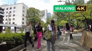 4K Medellín Avenida el Poblado Recorrido pov 🇨🇴 Sin Destino [upl. by Ehtiaf]