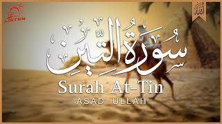 Surah AT Tin  QURAN TILAWAT BEAUTIFUL VOICE  SURAH WATEEN [upl. by Margarida]