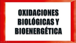 OXIDACIONES BIOLÓGICAS Y BIOENERGÉTICA [upl. by Lemmor]