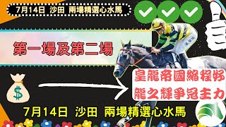 🈯️🈯️🈯️【賽馬指南針】【winbird網站特約】🐴😱🕵 7月14日 沙田 黃昏馬 丨第1️⃣場及第2️⃣場精選心水馬丨 賽馬指南針 賽馬貼士 睡眠 失眠必聽💰💰💰 [upl. by Petite]