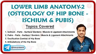 🦴 Hip Bone Osteology Ischium amp Pubis🕳️🔍 [upl. by Warfore851]