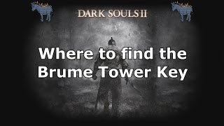 Dark Souls 2 Where to find the Brume Tower Key in Crown of the Old Iron King [upl. by Keane262]