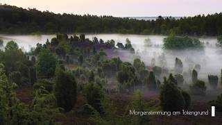 Romantische Morgendämmerung im Totengrund Lüneburger Heide [upl. by Marylin]