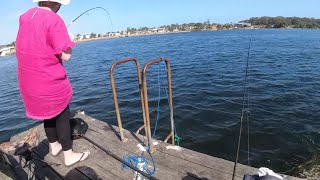 Merimbula Boardwalk Jetty  Trevally Alley [upl. by Rehpotsirhcnhoj]