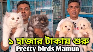 Katabon animal market BangladeshPersian CatMixed breed CatGerman Spitz puppyDog amp Cat price 2024 [upl. by Ambrose767]