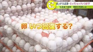 品薄や高値続く「卵」…quotエッグショックquotいつまで続く 生産量増えても価格高値のままの可能性も…エサ代高騰原因で 230429 1120 [upl. by Jariah]