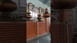 3000L3 Xues distillation equipment brandy distiller [upl. by Anawk274]