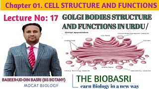 GOLGI BODIES STRUCTURE AND FUNCTIONSIN URDU HINDI  GOLGI APPARATUS [upl. by Yanahs992]