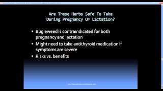 Bugleweed Motherwort and Graves Disease [upl. by Enak]