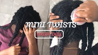 How to wash mini twists  Reduce tangling excessive frizz and matting [upl. by Prosperus]