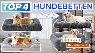 Beste HUNDEBETTEN 2024  Top 4 Hundebetten Vergleich [upl. by Anaili]