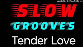 Force MDs  Tender Love Extended Version [upl. by Hackney6]