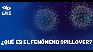 Alerta de la OMS por otra posible pandemia incluso más peligrosa que el COVID [upl. by Netnilc463]