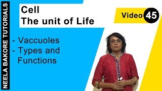 Cell  The unit of Life  NEET  Vacuoles  Types and Functions  Neela Bakore Tutorials [upl. by Carpenter]