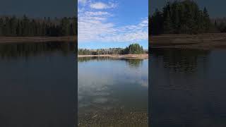 Cornwall Creek Flooding dam repair low water levels [upl. by Eltsirk]