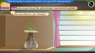 To understand about phototrophic movement plants  Class 10 Biology sciencewallah267 [upl. by Cheyney527]