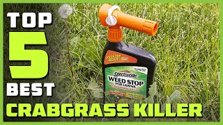 Best Crabgrass Killer in 2024  Top 5 Crabgrass Killers Review [upl. by Dnamra773]