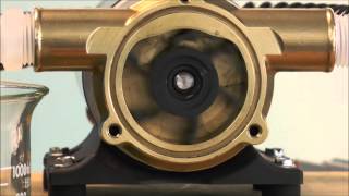 How a Jabsco Flexible Impeller Pump Works [upl. by Jocelyn]