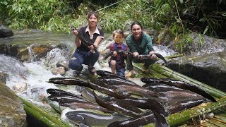 Preventing water harvesting catfish in the flood season farm Life SURVIVAL ALONE [upl. by Ejrog127]