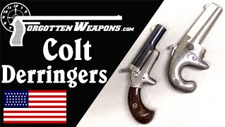 Colts 41 Derringers Buyout and Innovation [upl. by Eldridge536]