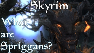 Theories Legends and Lore Skyrim What are Spriggans [upl. by Schulein848]